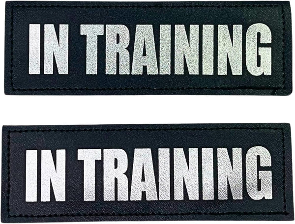 Albcorp Reflective In Training Patches with Hook Backing for Service Animal Vests, Large (6 X 2) Inch