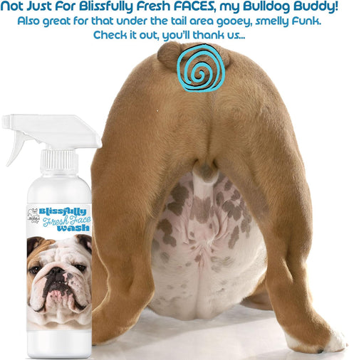 The Blissful Dog 4-Ounce Blissfully Fresh Face Wash for Bulldog, Cleans Facial Folds and Wrinkles