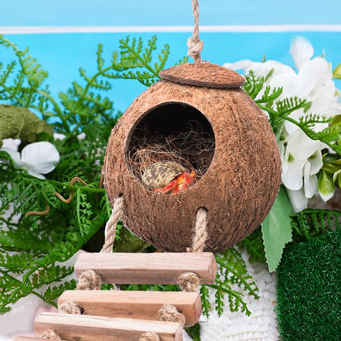 U0U Hermit Crab Coconut Husk Hut with Branch Ladder,Coconut House Hermit Crab Shells Reptile Habitat,Coconut Nest