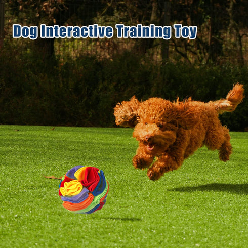 2pcs Dog Snuffle Ball Toy, 5.9inch Natural Interactive Sniffing Puzzle Toys for Stress Relief, Training (2 Styles)