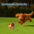 2pcs Dog Snuffle Ball Toy, 5.9inch Natural Interactive Sniffing Puzzle Toys for Stress Relief, Training (2 Styles)