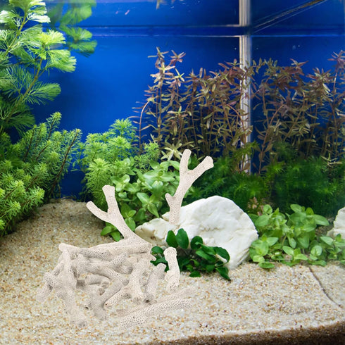 Aquarium Filtration Stones, Bag of Coral Bone Filtration Media for Fish Tank Decorative Gravel