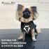 Parisian Pet Tuxedo Dog Bandana, Small