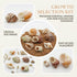 ECVLRTK 5 2.4-3.9 1-2in. Pcs of Medium and Large Hermit Crab Shells Natural Conch Size in, Opening Size Growth Turbo