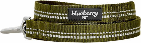 Blueberry Pet 3M Reflective Pastel Color Dog Leash, Soft Comfortable Handle, 5 ft x 3/4", Olive Green, Medium
