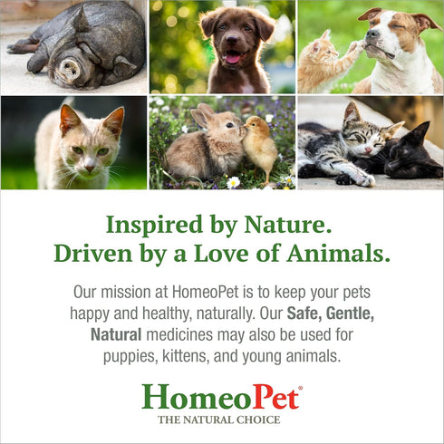 HomeoPet Feline Nose Relief, Natural Nasal and Sinus Medicine for Cats, 15 Milliliters