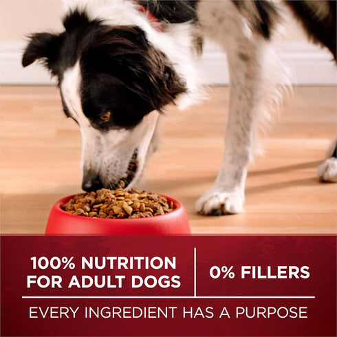 (Pack 4) 3.8 lb. Purina ONE Natural High Protein Dry Dog Food Dry True Instinct with Real Beef and Salmon With Bone
