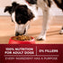 (Pack 4) 3.8 lb. Purina ONE Natural High Protein Dry Dog Food Dry True Instinct with Real Beef and Salmon With Bone