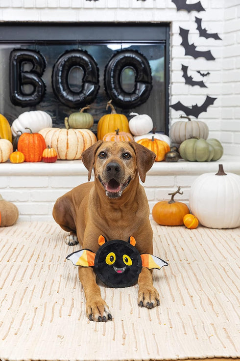 Fringe Studio Plush Dog Toy - Durable Multicolored Bat's The Way It Is, Fun for Dogs