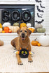 Fringe Studio Plush Dog Toy - Durable Multicolored Bat's The Way It Is, Fun for Dogs