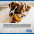 Best Bully Sticks Peanut Butter Beef Cheek Dog Treats - 4-Pack, Natural Collagen Chews