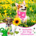 100 (25.6 17.7 17.7) Abbylike Pcs Paw Print Dog Bandanas Bulk Cute Footprint Bandanas for Dogs Triangle Kerchief Bib