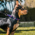 Martingale Collar for Dogs, Adjustable Soft Nylon with Cute Patterns for Small Medium Large Dogs
