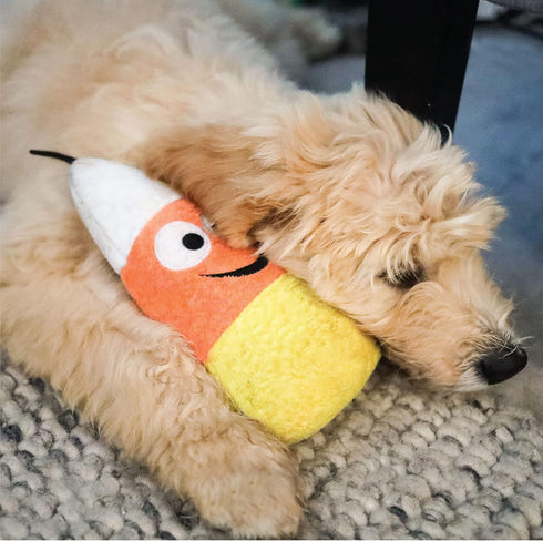 Huxley & Kent Kookie Korn Halloween Power Plush Dog Toy with Squeaker, Fun, Durable, Safe Gift for Dogs, H&K Squeaky