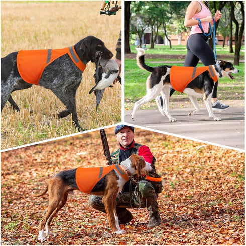 Dog Jacket High Visibility Reflective Vest for Small Medium Large Dogs (Large, Orange)