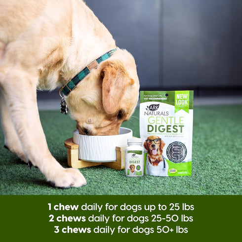 ARK NATURALS Gentle Digest Soft Chews, 120 Count, Vet Recommended Dog and Cat Prebiotics & Probiotics