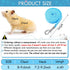 SATINIOR 2 Pieces Guinea Pig Clothes, Soft Mesh Harness Leash Vest Set with Bell for Small Animals (Blue, Black, S)