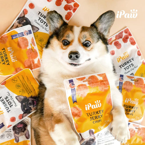 All Natural Human Grade Dog Treat for Puppy Training, Hypoallergenic, Easy to Digest (Chicken Tots)