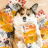 All Natural Human Grade Dog Treat for Puppy Training, Hypoallergenic, Easy to Digest (Chicken Tots)