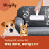 Pet Hair Removal Roller - Reusable Cat and Dog Fur Remover Lint Roller for Carpet, Couch, Furniture, Car Seat, Bedding and Clothing - Portable and Multi-Surface Pet Hair Removal Tool