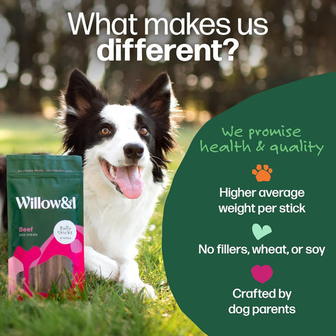 Willow&I Bully Sticks for Dogs - 6 Inch Bully Sticks for Medium & Small Dogs (14 Pack), Premium 100% Grass Fed Beef