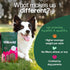 Willow&I Bully Sticks for Dogs - 6 Inch Bully Sticks for Medium & Small Dogs (14 Pack), Premium 100% Grass Fed Beef