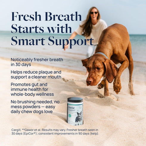 60 Veterinary Formula Dental Health Supplement for Dogs Vet-Formulated Chews with EpiCor & Kelp Smart Vitality Supports