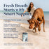 60 Veterinary Formula Dental Health Supplement for Dogs Vet-Formulated Chews with EpiCor & Kelp Smart Vitality Supports
