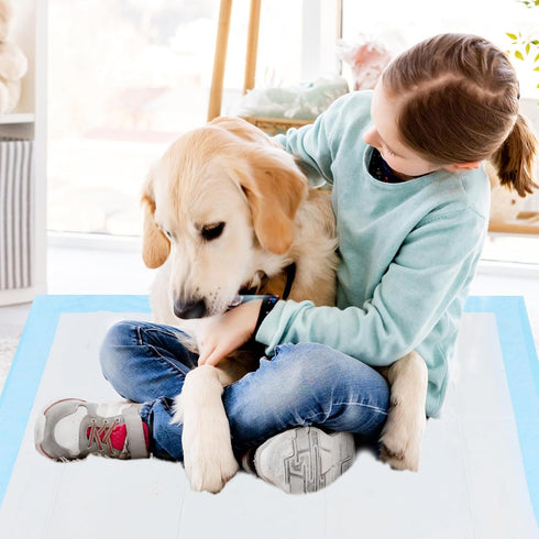 Dog Training Pads 22x22, 50 Count Waterproof Pee Pads for Dogs and Puppies, Leak-Proof for Playpen