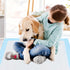 Dog Training Pads 22x22, 50 Count Waterproof Pee Pads for Dogs and Puppies, Leak-Proof for Playpen