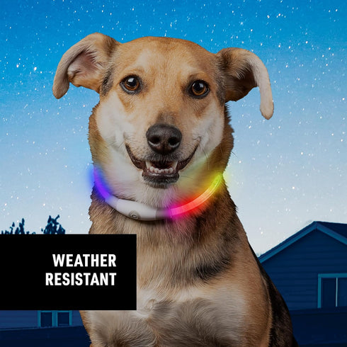 Nite Ize NiteHowl Mini Rechargeable LED Safety Necklace, Disc-O Select Light Up Dog Necklace with Batteries