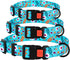 Nylon Dog Collar Floral Pattern Aquamarine, 12-16 Inch