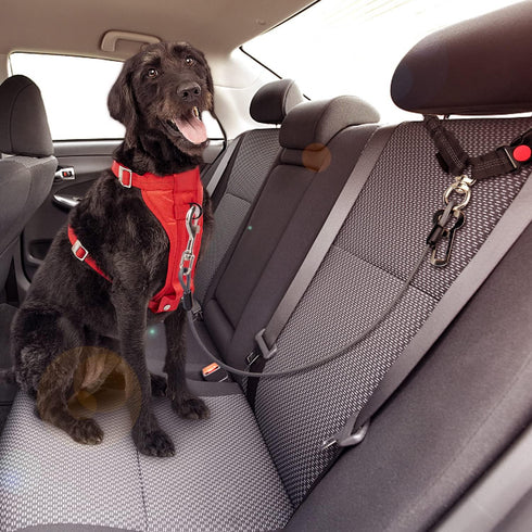 CHZUOBER 2 1 Chew Proof Dog Car Seat Belt, in Steel Cable Dog Car Accessories Headrest Restraint Dogs Car Seatbelt