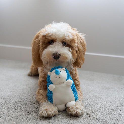 SPOT Gigglers Hedgehog Dog Toy with Giggle Sound | Textured, Plush Shake and Wiggle Hedgehog Giggle Toy for Small