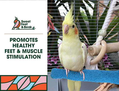 4.5" Sweet Feet and Beak Comfort Grip Safety Perch for Bird Cages - Pedicure Perch for Birds to Keep Nails and Beaks