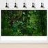 Tropical Rainforest Aquarium Background Psychedelic Forest Terrarium Background with Old Trees, Woodland Reptile