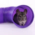 Ware Manufacturing Fun Tunnels Play Tube for Small Pets, Large, 30 x 8 Inches