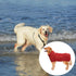 Geyecete Dog Bathrobe Towel - Fast Drying Super Absorbent Pet Dog Cat Bath Robe Towel in Red, Size Medium