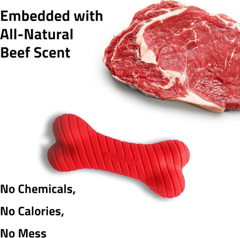 Playology Dog Toys, Dual Layer Bone Chew Toy for Dogs, Medium Beef Scented, Easy to Clean