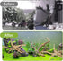 Tfwadmx Natural Driftwood for Aquarium, 6-8" 4 Pcs Wood Aquarium Decorations, Fish Tank Log Reptile Tree Branches