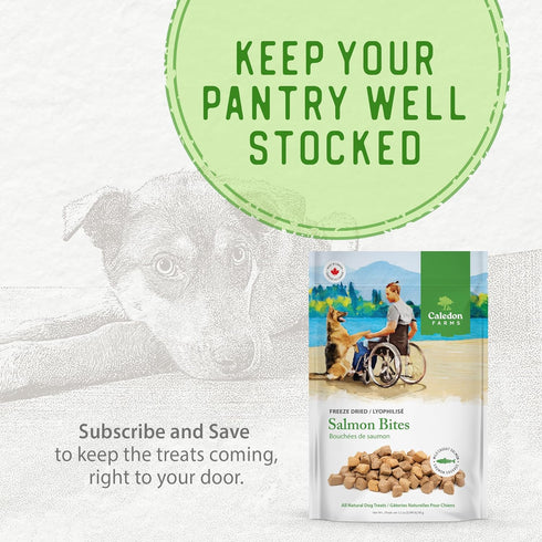 3.2OZ Caledon Farms Freeze Dried Dog Treats - Salmon