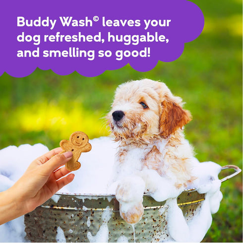 2 1 16 oz. Buddy Grooming Wash in Dog Shampoo, Lavender & Mint, Bottle