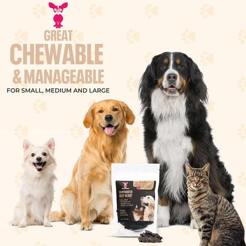 5 oz SavvyBeast Dehydrated Beef Heart for Dog Treats Single Ingredient, Air-Dried Organ Meat Rich in Taurine