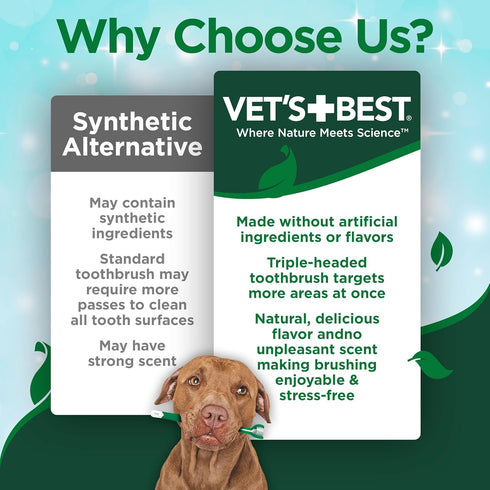 Vet's Best Dog Toothpaste & Dog Toothbrush, Dental Kit, Plaque Remover for Teeth, Whitens Teeth, Freshens Canine