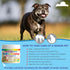 Dog Prenatal Vitamins Multivitamin for Cats & Dogs, Folic Acid, Calcium, Iron, Minerals and Amino Acids. Ideal