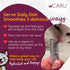 CARU Daily Dish Smoothies, Lickable Chicken Cat Treat, 4 Pack, .5oz Tubes