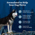 Blue Buffalo Wilderness Adult High-Protein Dry Dog Food, Real Chicken Plus Wholesome Grains, 4.5-lb Bag