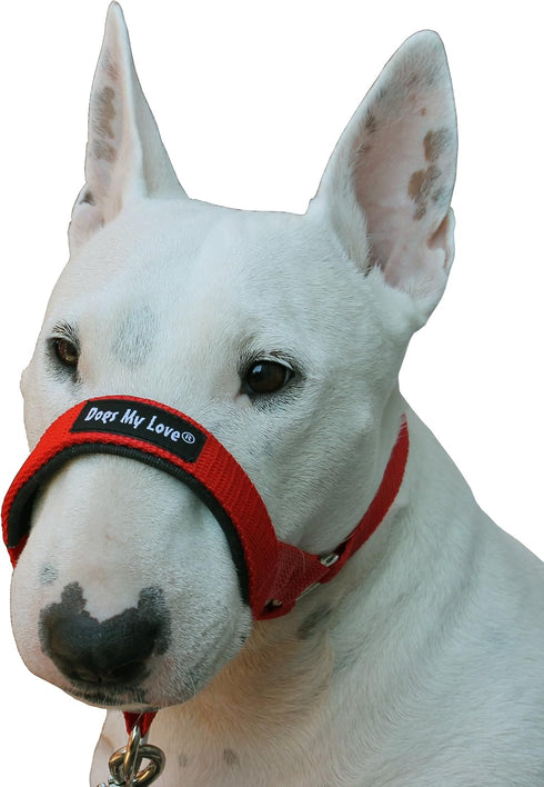 Dog Head Collar Halter Red (S: 6.5"-8.25" Snout) - 6 Sizes Available