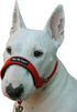 Dog Head Collar Halter Red (S: 6.5"-8.25" Snout) - 6 Sizes Available