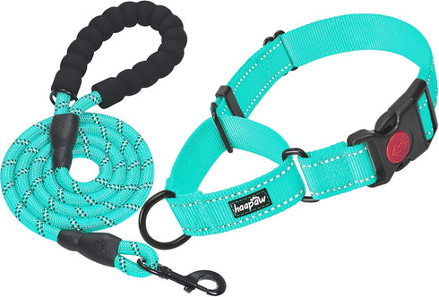 haapaw 2 Packs Martingale Dog Collar - Quick Release Buckle Reflective Training Collars for Small Medium Large Dogs